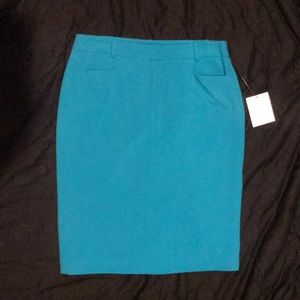 Calvin Klein Cerulean Skirt